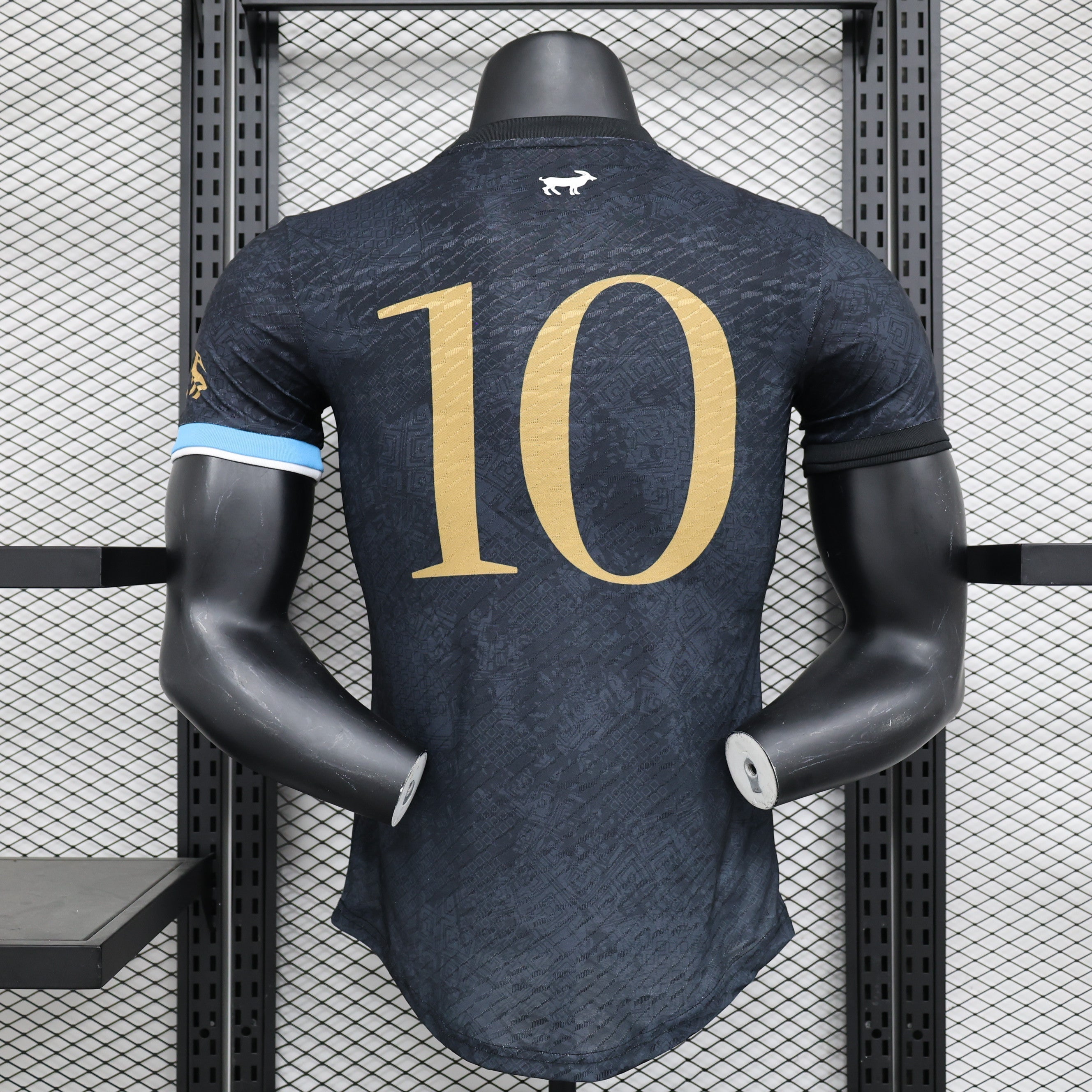 Camiseta de edición limitada de Argentina, versión jugador, temporada 2023-2024