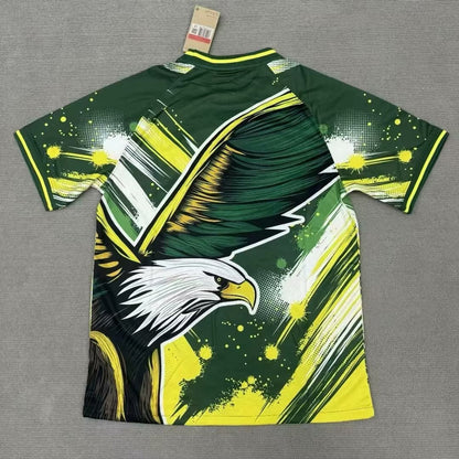 Camiseta especial de Brasil 24/25